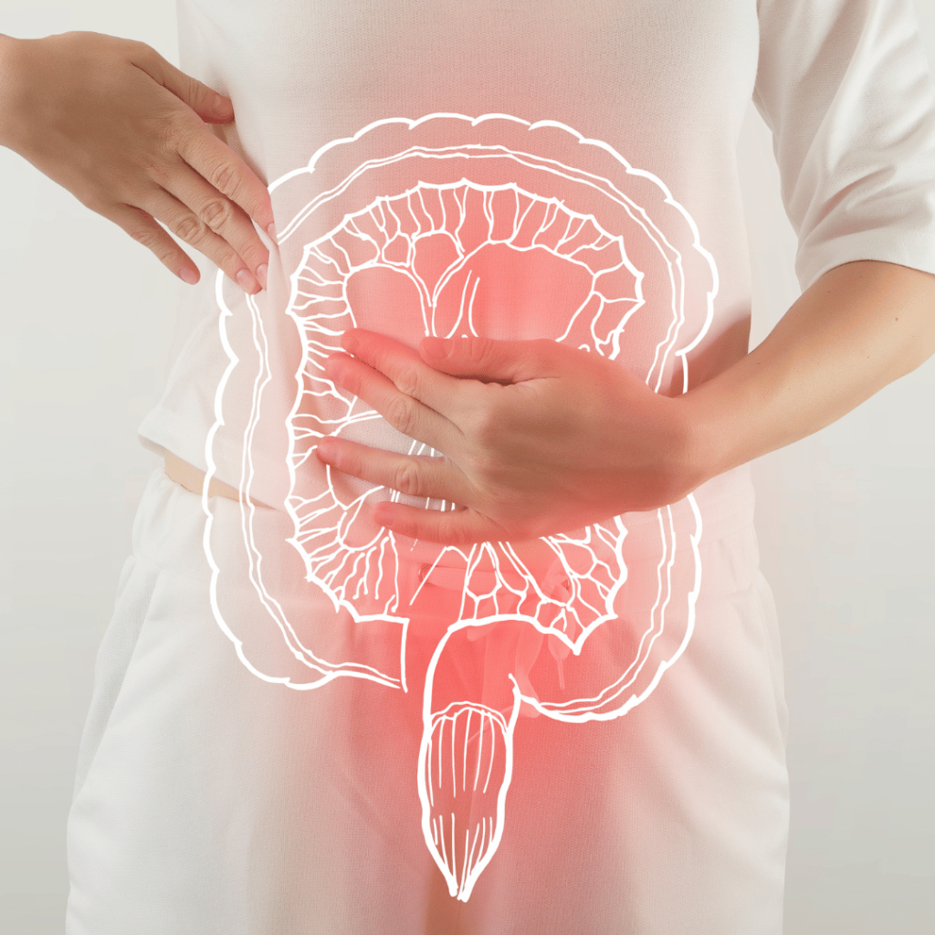 Como Desinflamar o Intestino Através da Modulação Intestinal